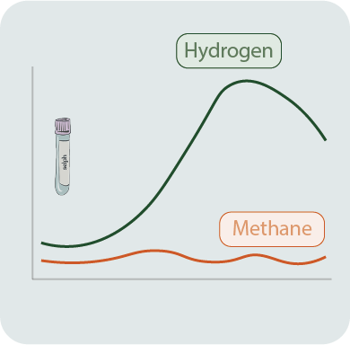 Lab analysis
