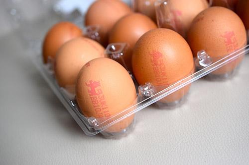 Lion brand eggs
