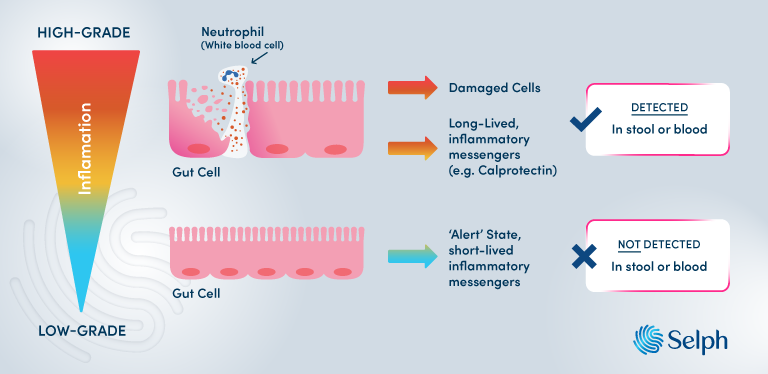 Low-grade versus high-grade inflammation