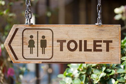 What do stool samples test for?