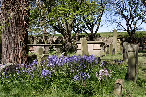 Bluebell cemetery
