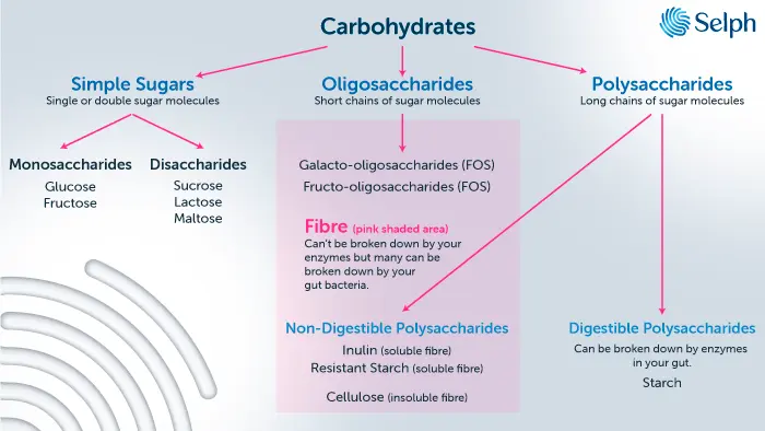 Carbohydrates simplified.