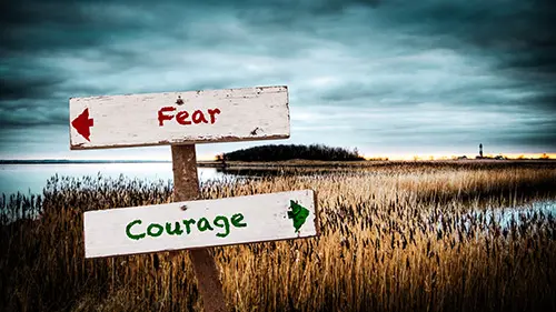 Fear or courage