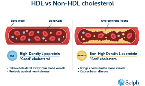 HDL versus non-HDL cholesterol