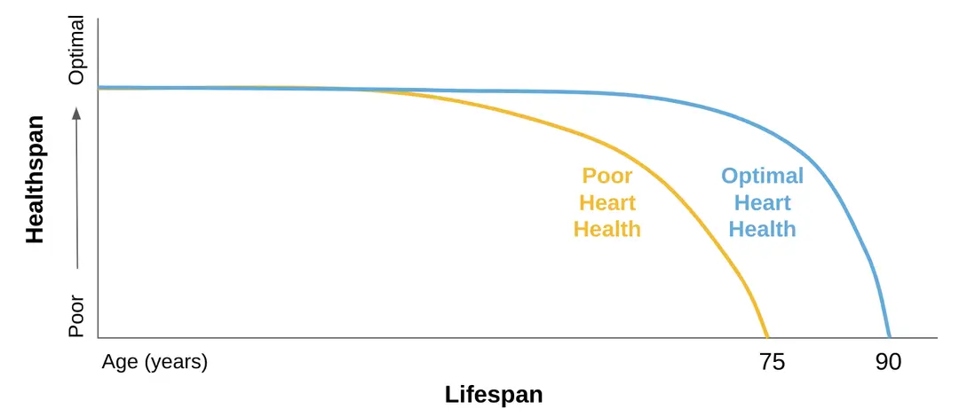Heart health lifespan healthspan